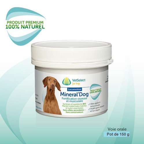 Pourquoi Je Vois Des Beauceron Avec Oreilles Dresse