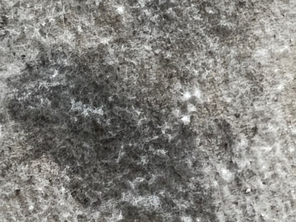 How Much Basement Mold Is Too Much? The Answer May Surprise You!