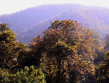 Lakaisini Hills.jpg