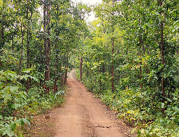 Bulaveda Trek Route.jpg