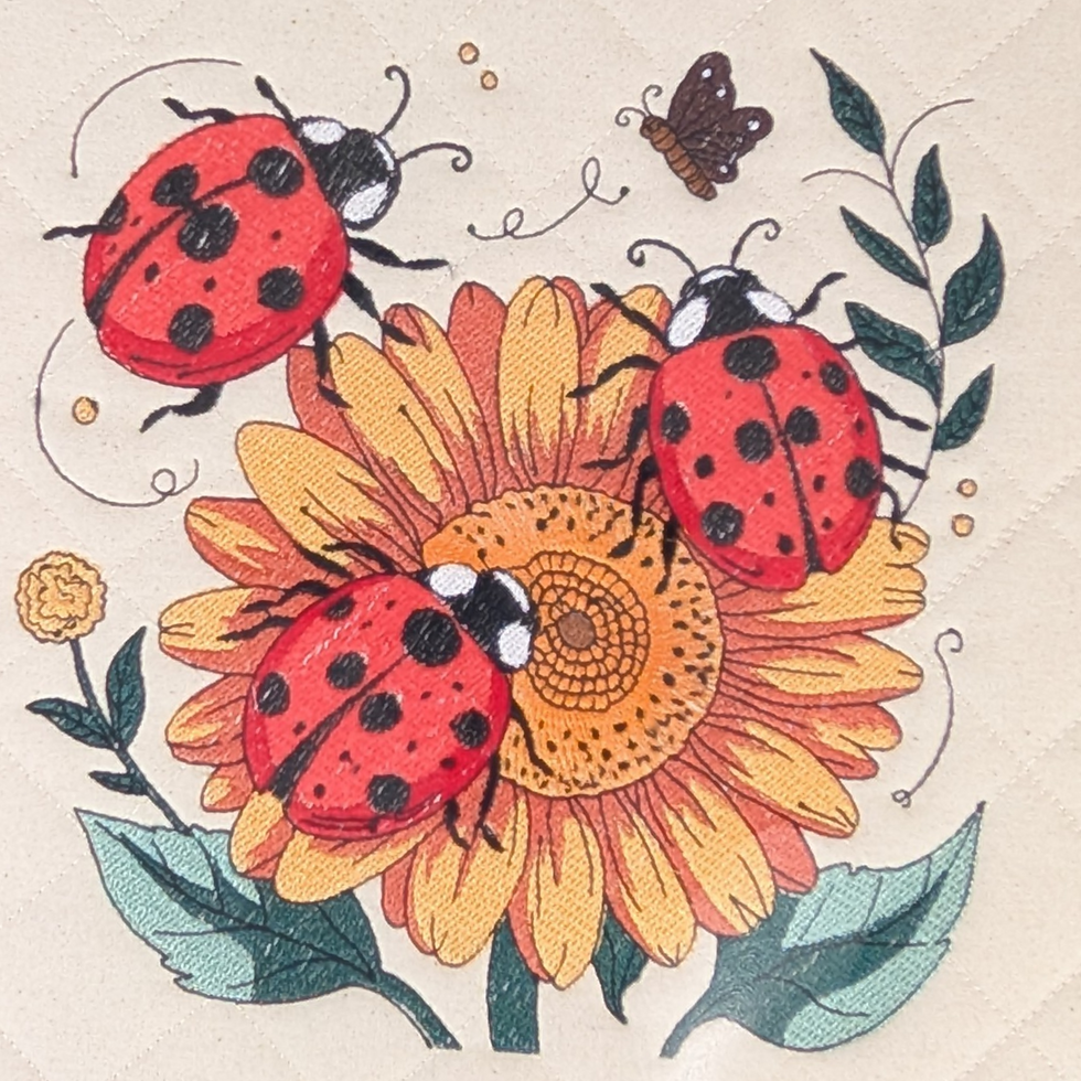 Ladybirds Embroidered Vinyl Front Cross Stitch Project Bag