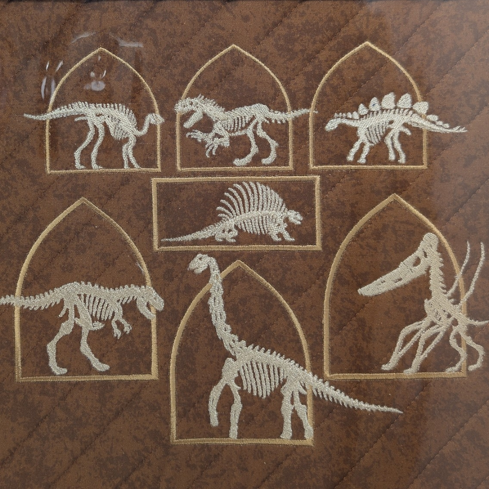 Dinosaur Museum Embroidered Vinyl Front Cross Stitch Project Bag