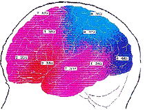 bscan2.gif