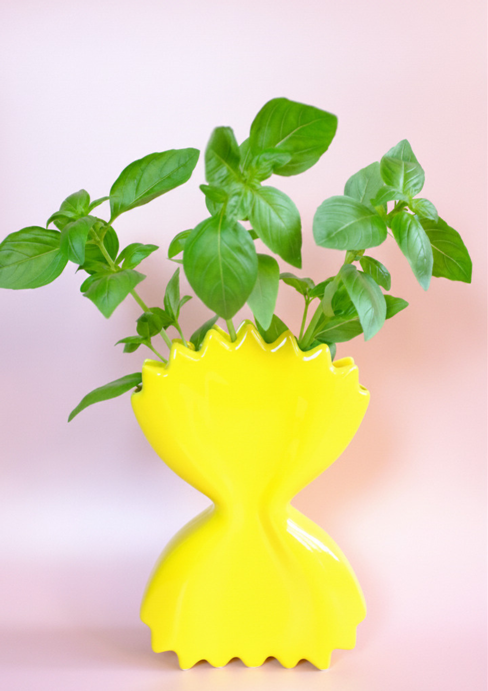 Thumbnail: Farfalle Pasta Vase
