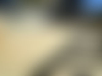 Pressure-treated wood deck with natural wood grain boards installed in a South Jersey backyard.