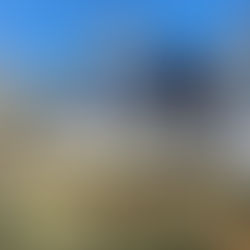 Wood deck framing under construction — joists, ledger, and support beams laid out in early build stage on backyard deck structure.