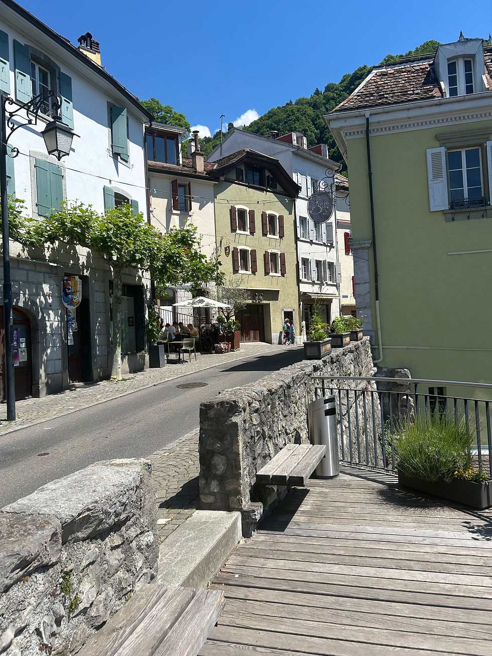 rue montreux avec des plantes et des habitations, village mignon
