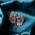 Thumbnail: german Silver Nemalee earrings