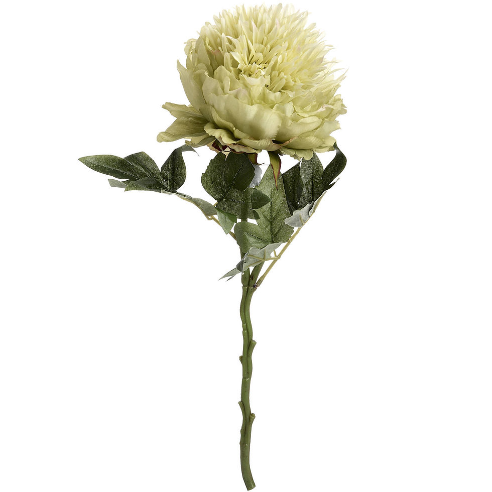 Thumbnail: Peony