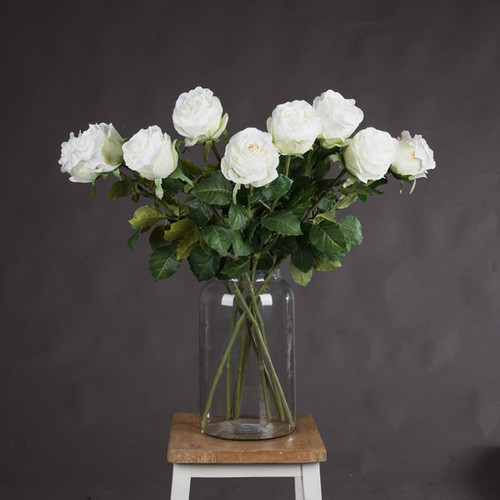 Rustic White Roses Traditional White Rose | The Interior Edition