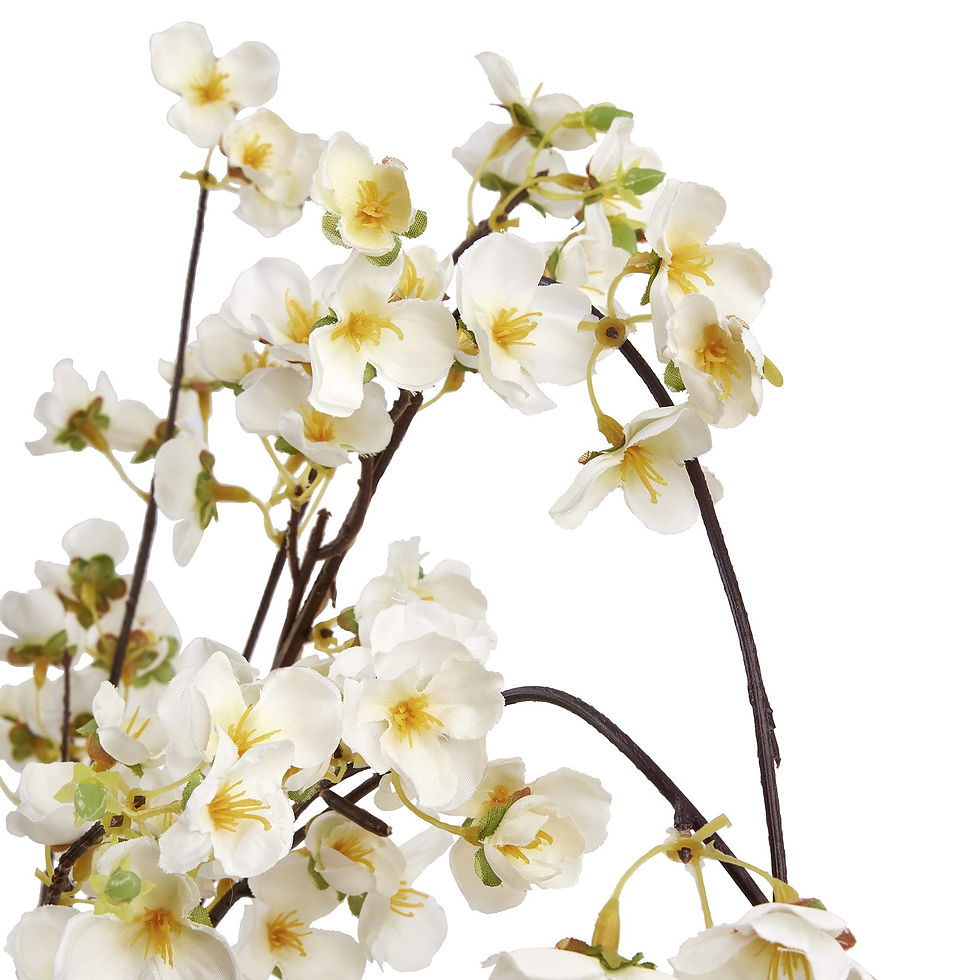 Thumbnail: White Japanese Blossom