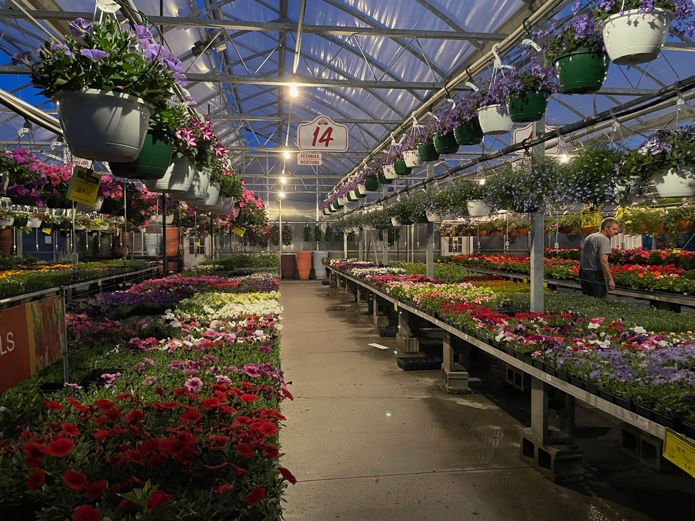Weesies Brothers Garden Centers Landscaping