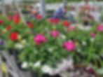 Design & Plant: Combination Planter Workshop