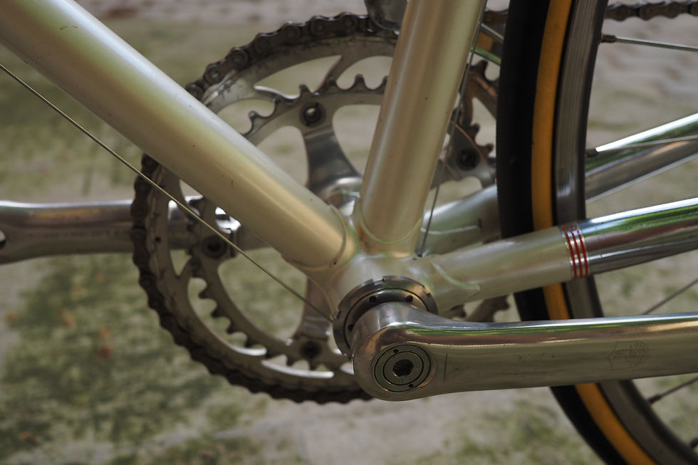 Miniature : EDDY MERCKX Corsa Extra "Team TEVE ENVE"