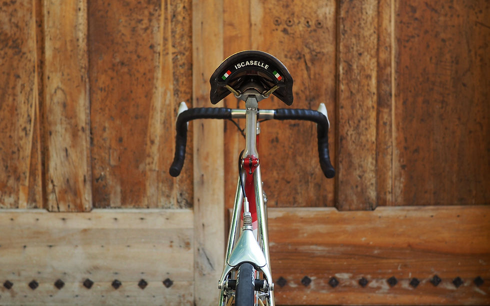Miniature : EDDY MERCKX Corsa Extra "Team TEVE ENVE"