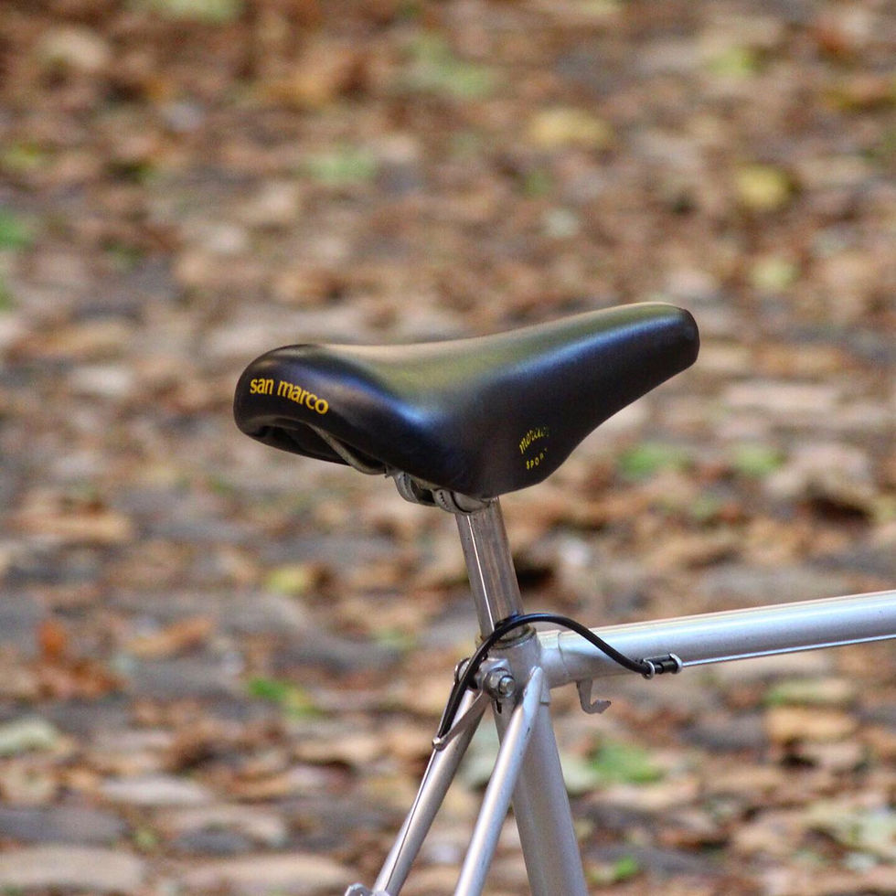 Miniature : Mercier Randonneur 