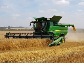 Ashlyns Summer Newsletter 2022