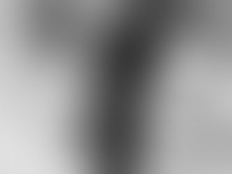 Europe During the Scramble: Voting on Empire