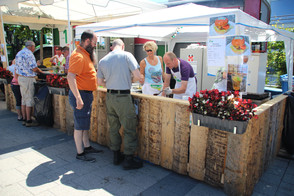 2015-06-28-153506 - IMG_1417.JPG