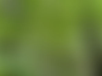 🌴青森４日目🌳