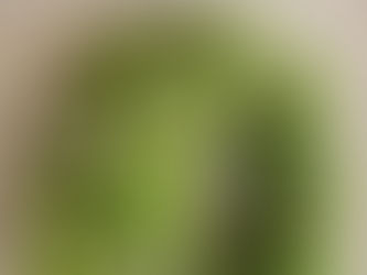 ギャザリングのご案内💠