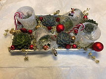 verres sprayés de neige, échéveria et décorations de Noël