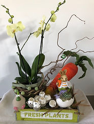 IMG_1027.jpeg