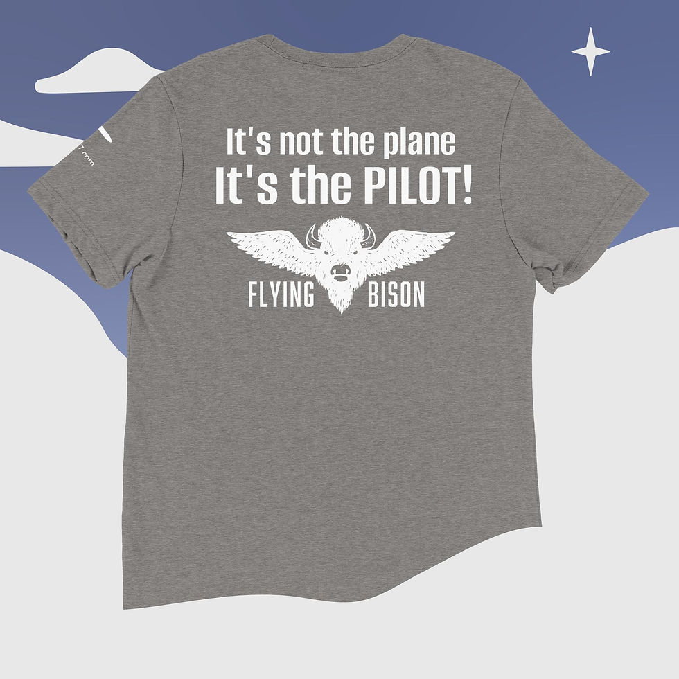 Thumbnail: Short Sleeve T-Shirt with Back Design (It's the Plane!)