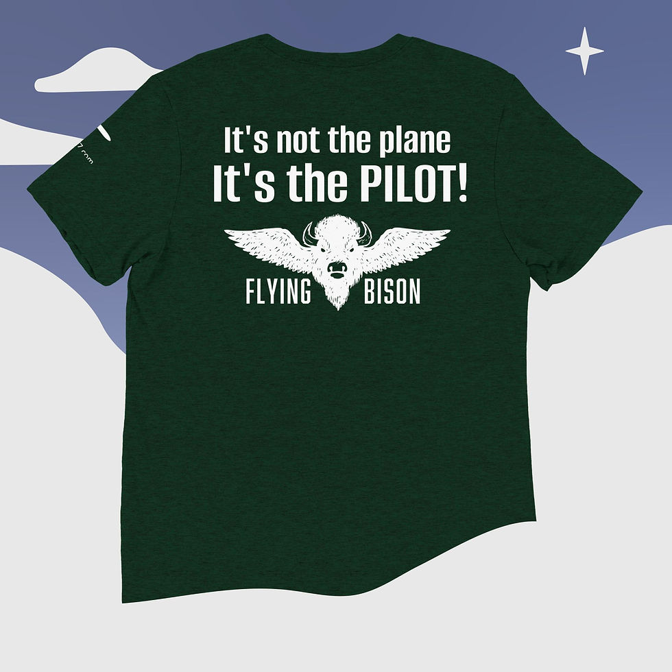 Thumbnail: Short Sleeve T-Shirt with Back Design (It's the Plane!)
