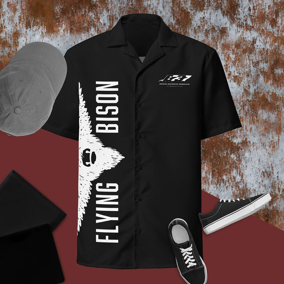 Thumbnail: BLACK FLYING BISON BUTTON DOWN SHIRT