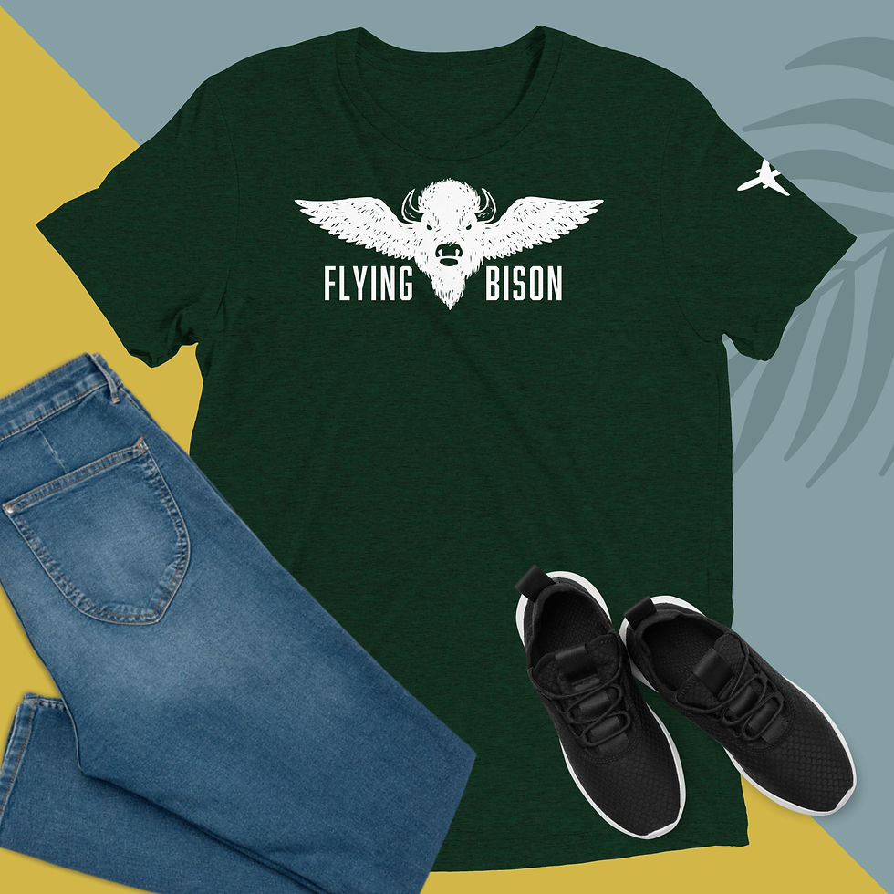 Thumbnail: FLYING BISON // BRAVO 737 Sport T-Shirt