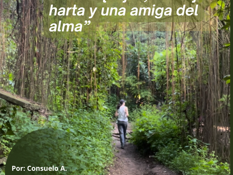 Camino de tierra rodeado de árboles en un bosque, con luz cálida al fondo, evocando introspección y conexión.