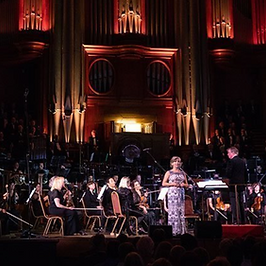 100 days to peace concert we hosted in London