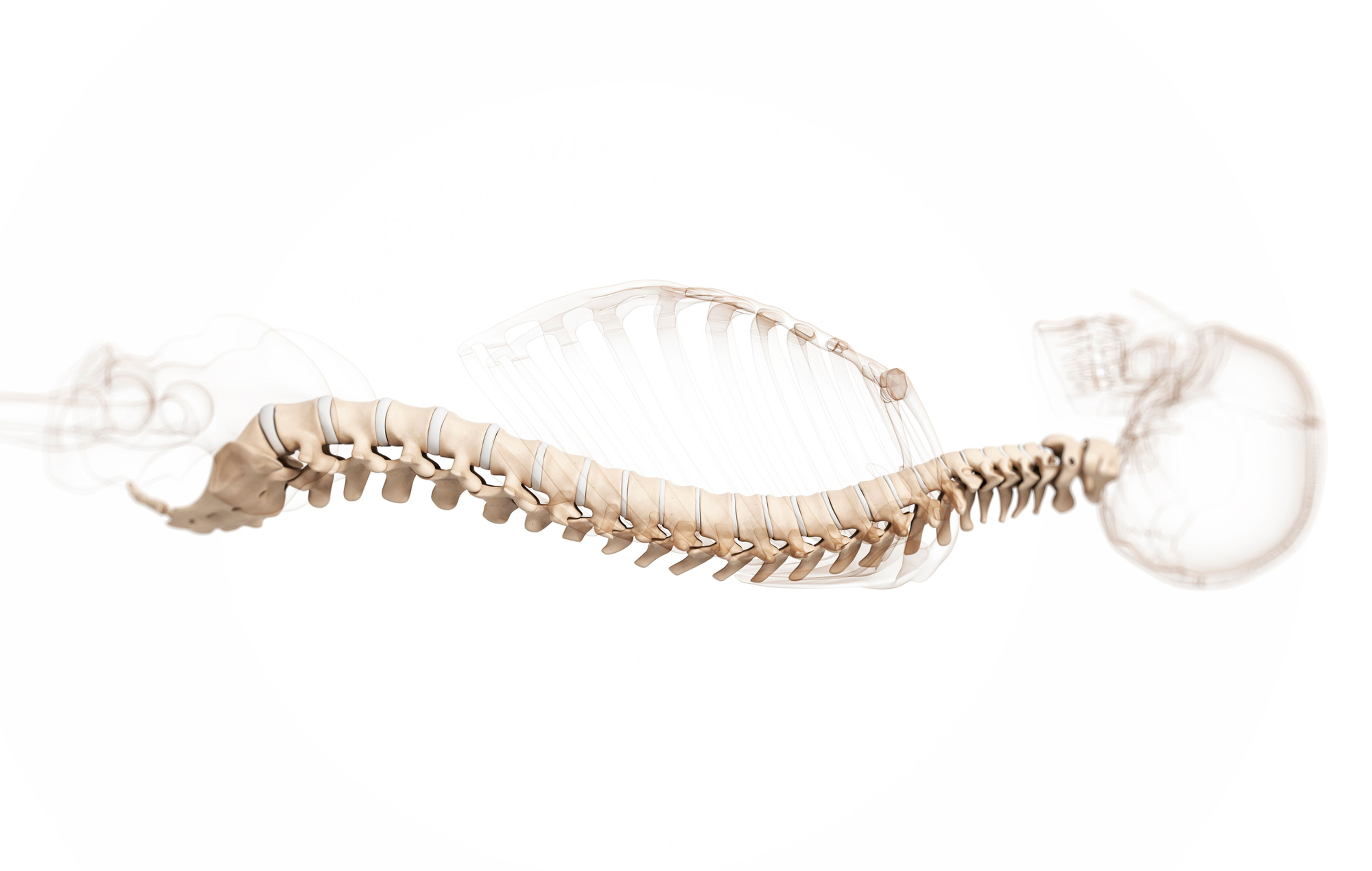 Spinal Surgical Robots