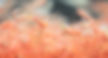 Artemia