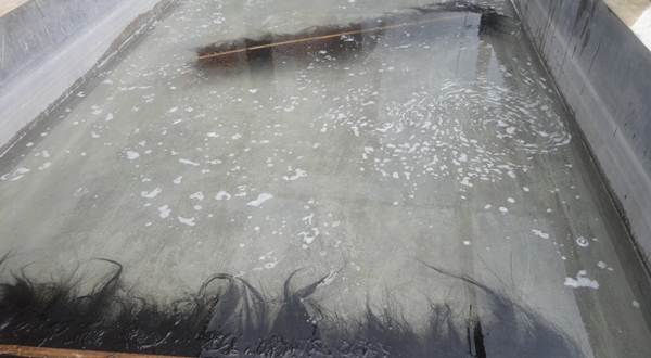 pemijahan ikan air tawar