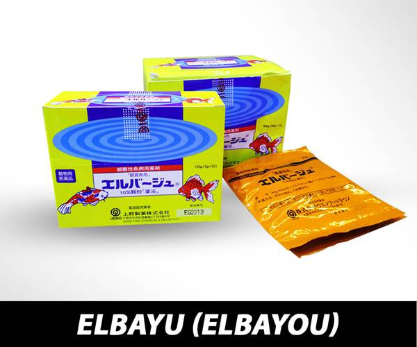 jual Elbayou