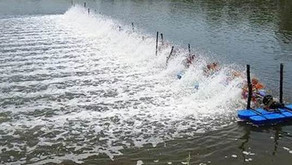 Tips Tentukan Jumlah dan Letak Kincir Air Tambak Udang