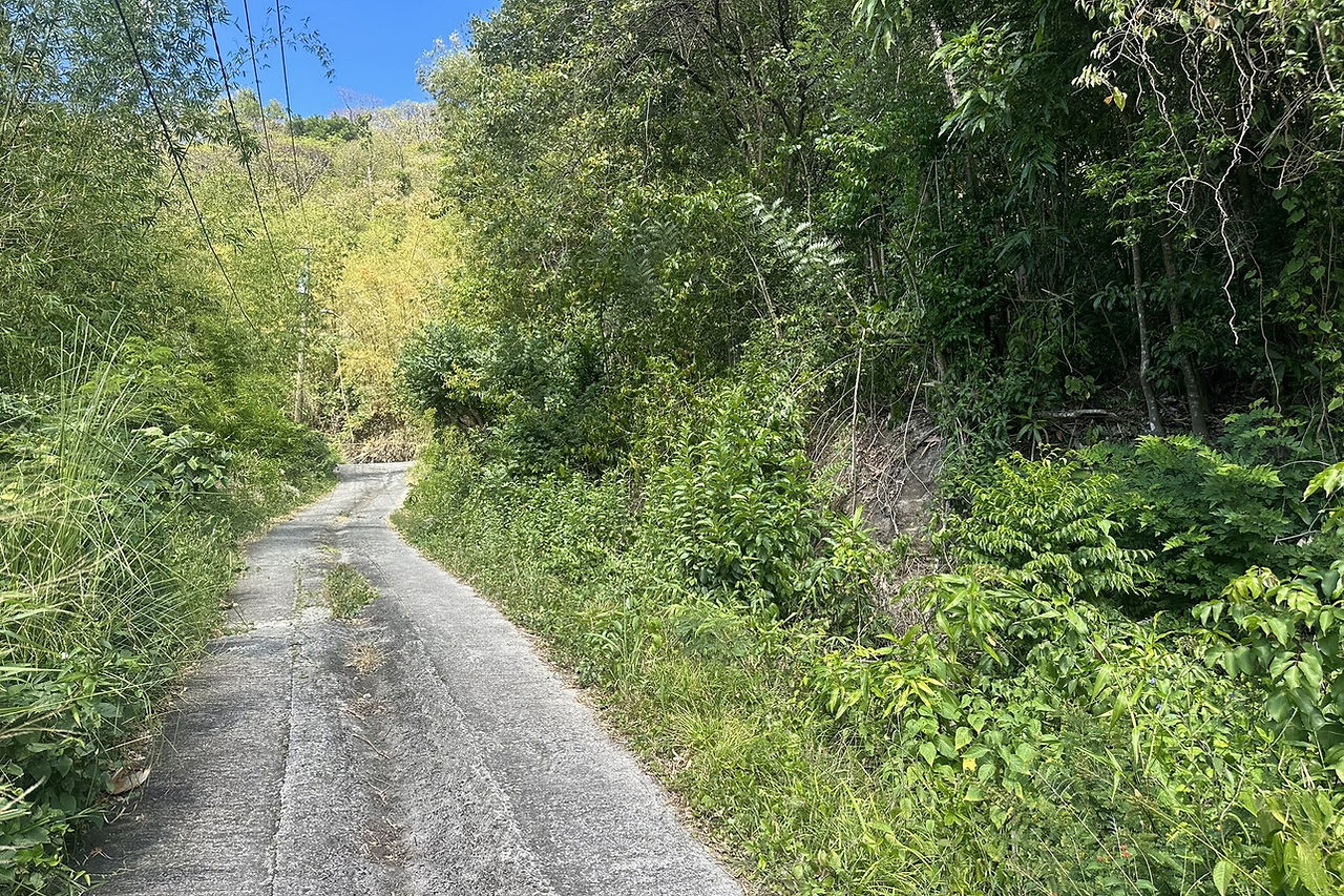 Land for Sale Saint Lucia