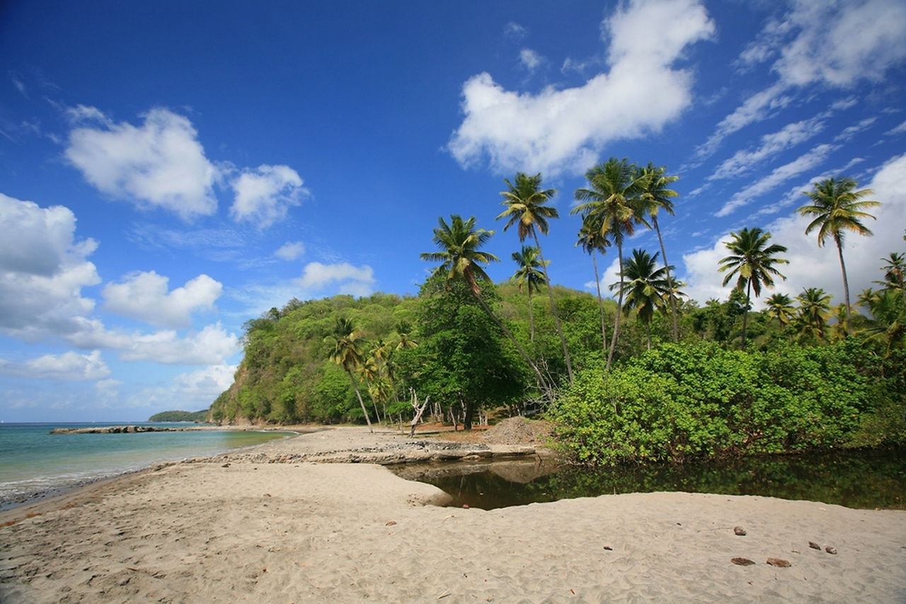Beachfront Land for Sale Saint Lucia