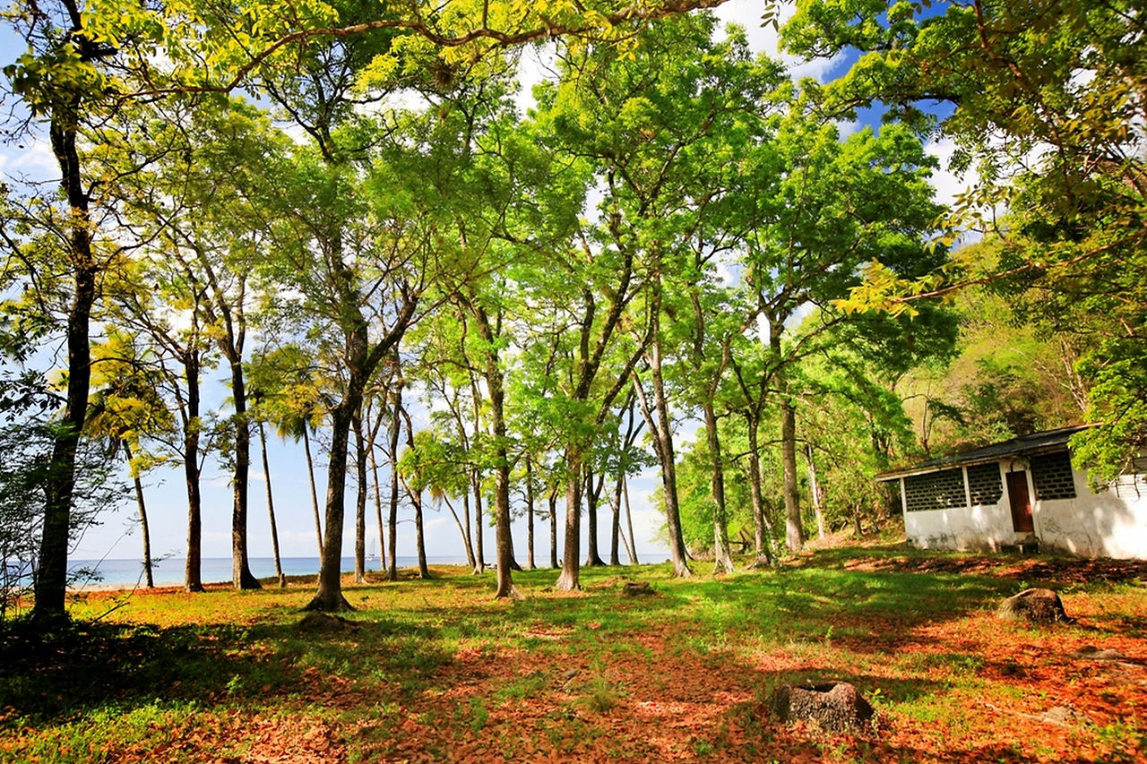 Beachfront Land for Sale Saint Lucia