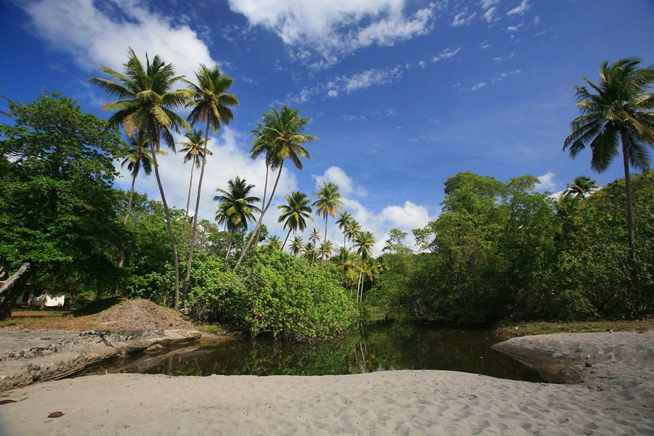 Beachfront Land for Sale Saint Lucia