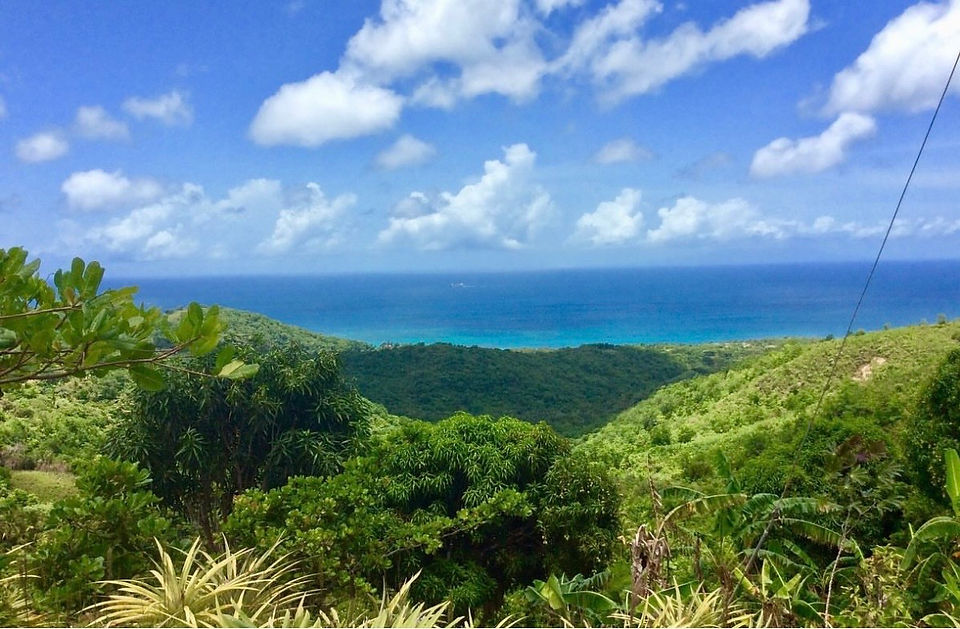 Land for Sale Saint Lucia
