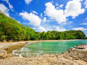 LC - Anse Mahaut Beachfront Land for Sale Saint Lucia - 1107