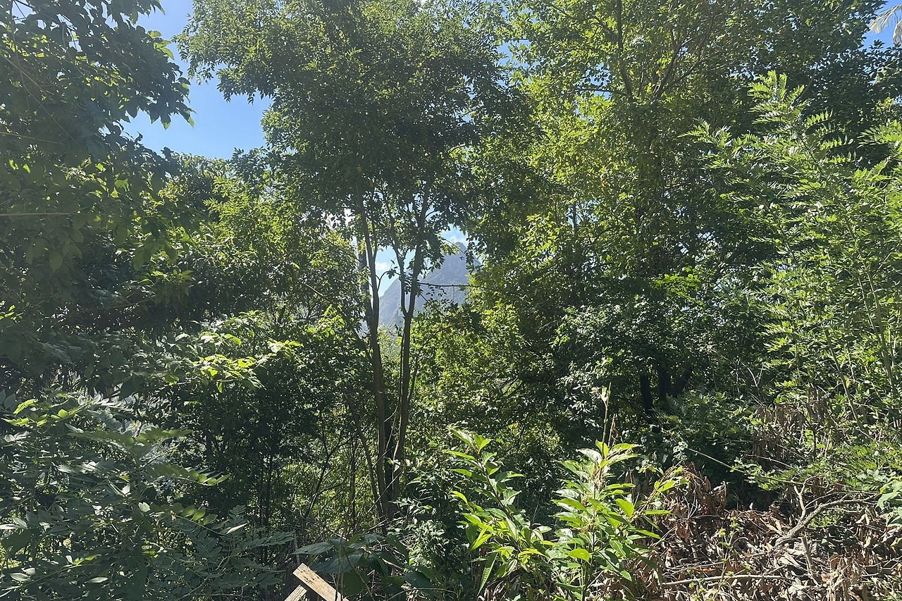 Land for Sale Saint Lucia