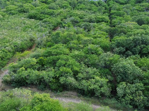 Cas en Bas Land for sale