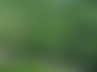 Cas en Bas Land for sale