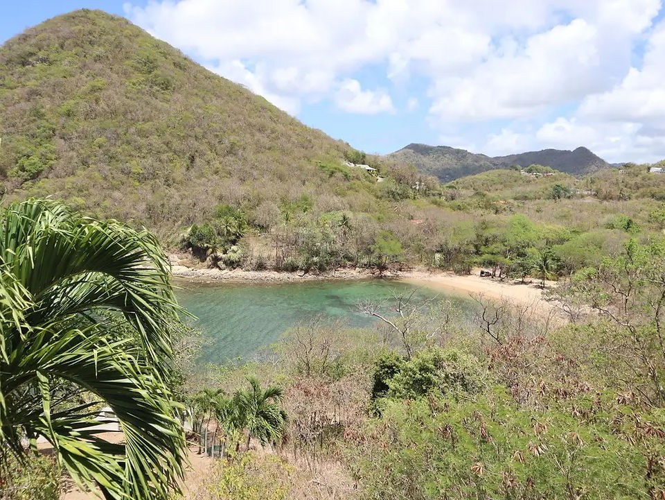 Beachfront Land for Sale Saint Lucia 