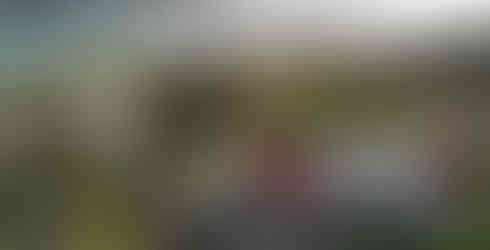 Tropical home investment