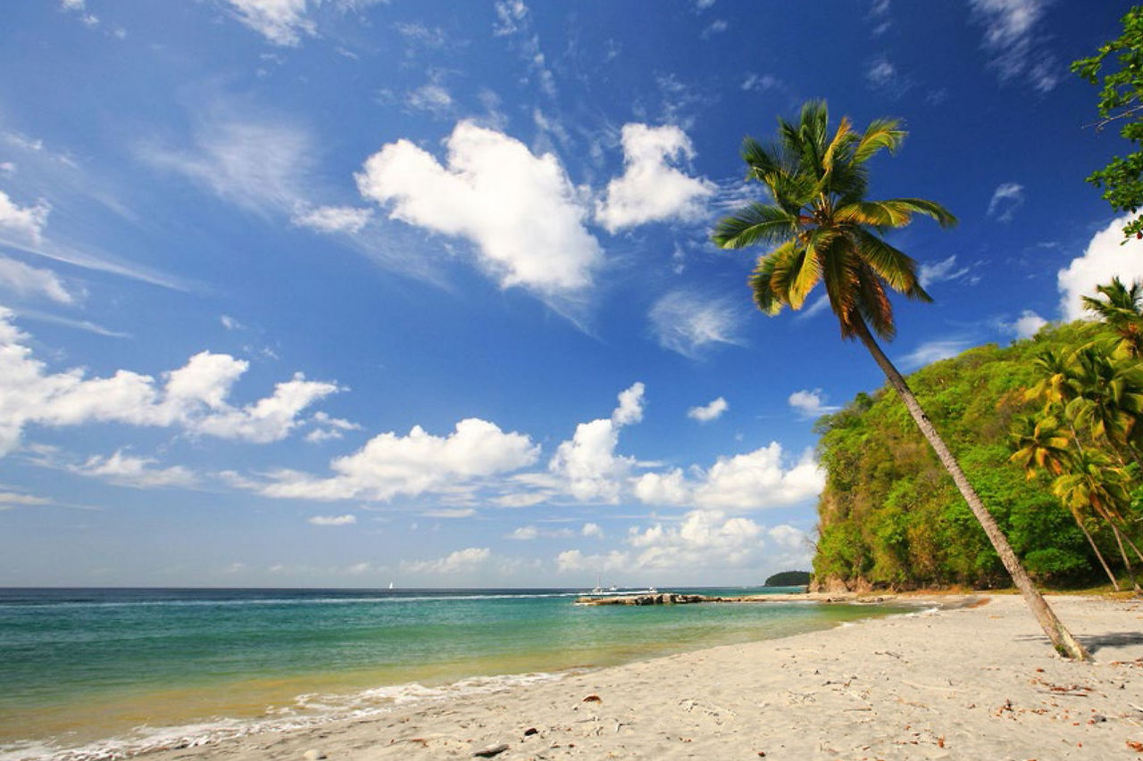 Beachfront Land for Sale Saint Lucia